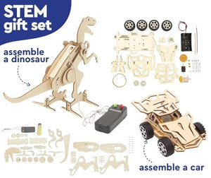 Wooden Dinosaur Assembly STEM Kit